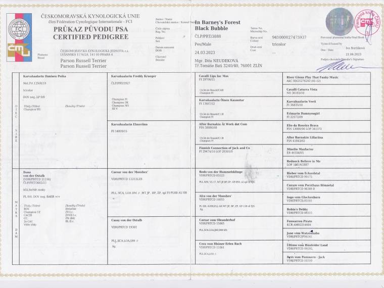 In Barney's Forest Black Bubble