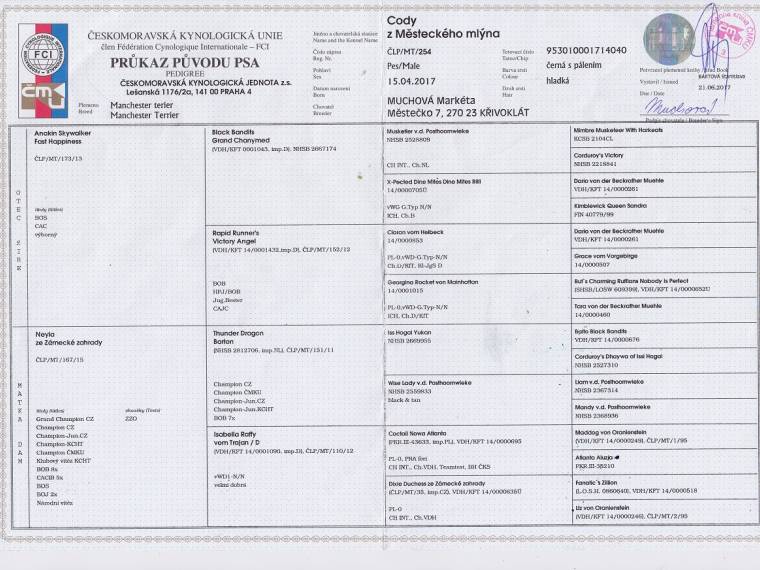 Cody z Městeckého mlýna