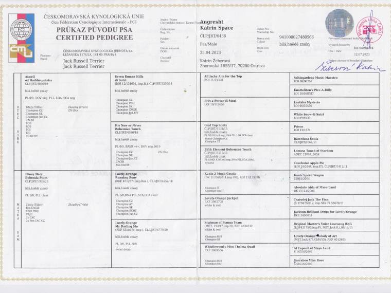 Angresht Katrin Space