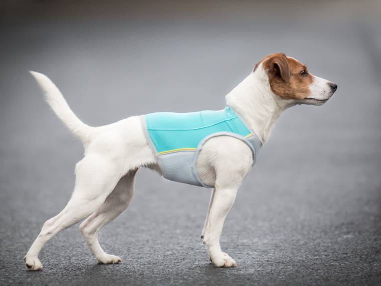 Beatrice Tarry la Vera Felicita