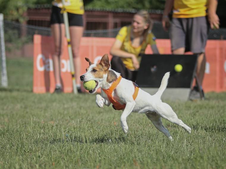 Beatrice Tarry la Vera Felicita