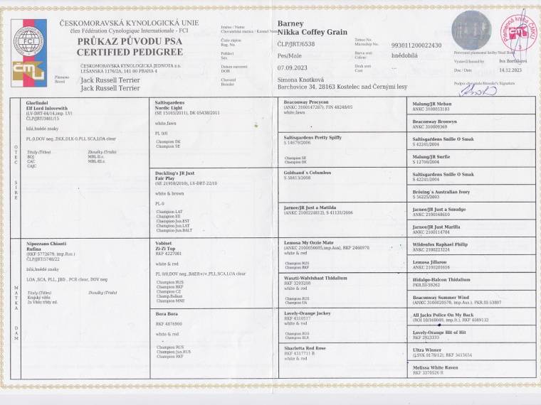 Barney Nikka Coffey Grain