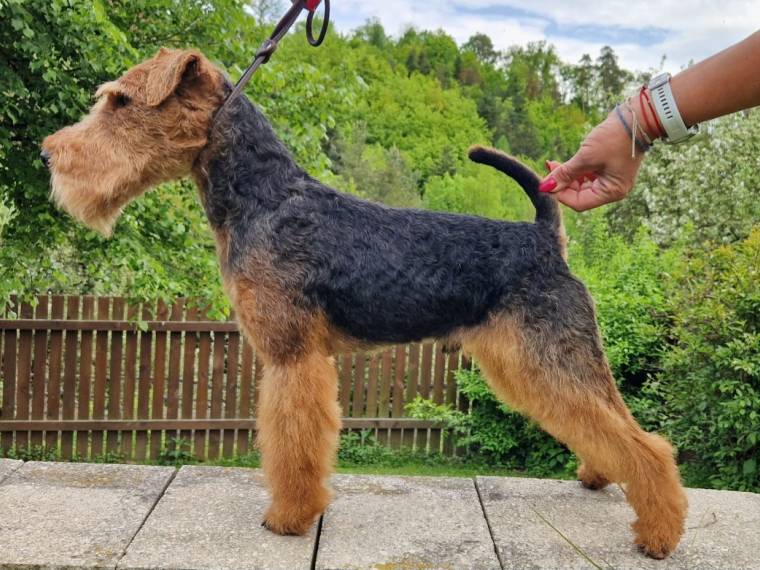 Jupiter Kendy Hunt Floda Welsh