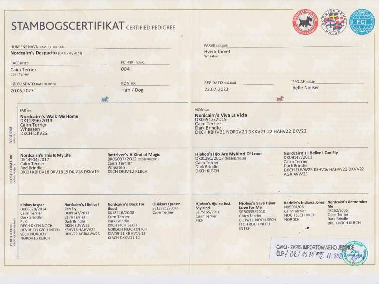 Nordcairn's Despacito