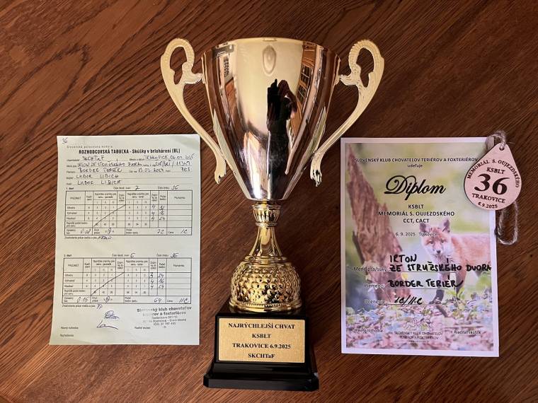 Irton ze Stružského dvora