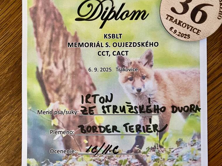 Irton ze Stružského dvora