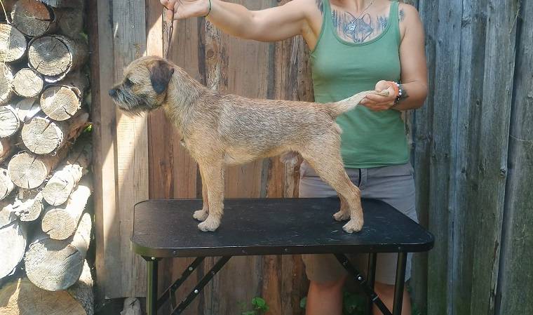 Prim Kira Bělohorský skřítek