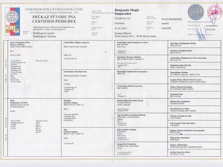 Benjamin Magic Amparador