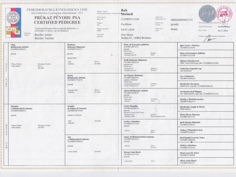 Argo Samsára Dragon's Lair