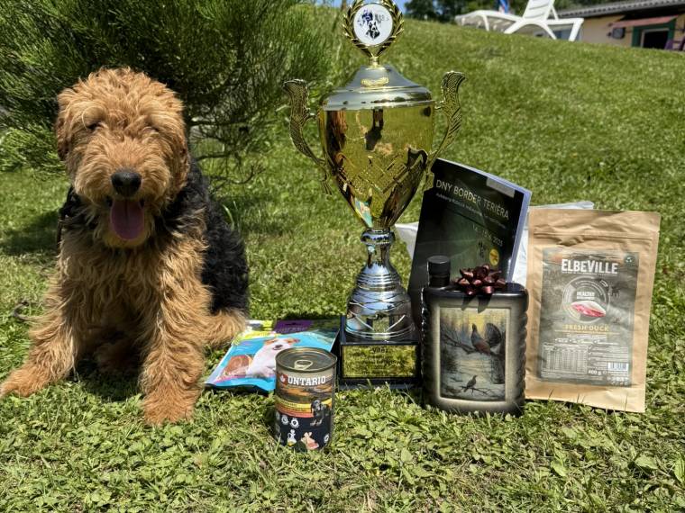 Cora Kublov Křivoklátský Bull