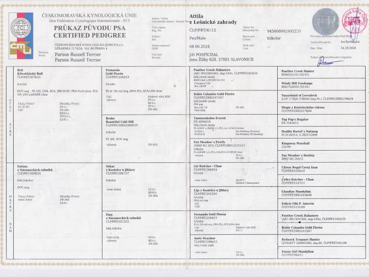 Attila z Lešnické zahrady