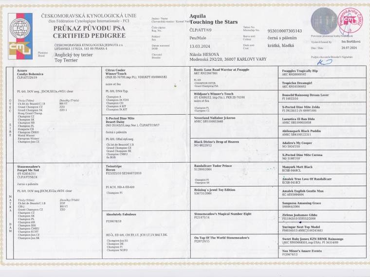 Aquila Touching the Stars