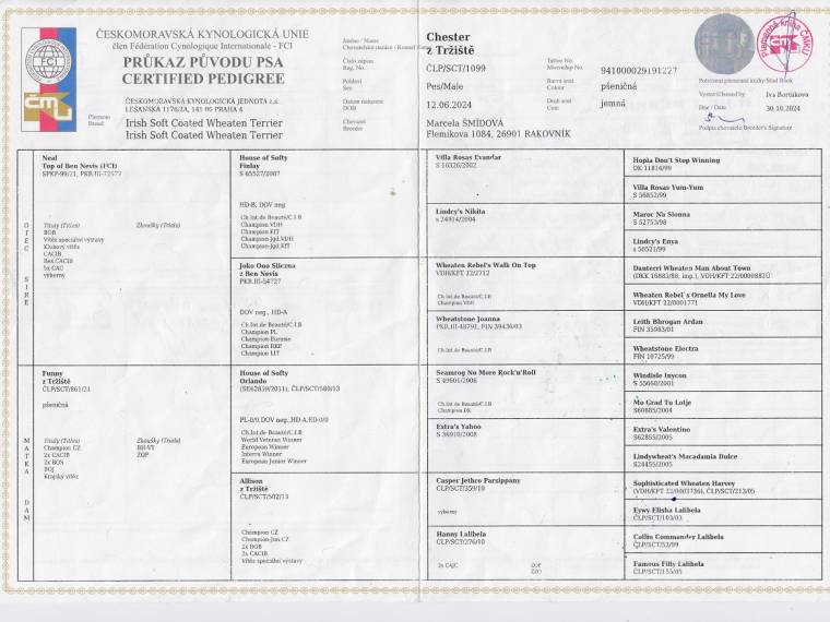 Chester z Tržiště