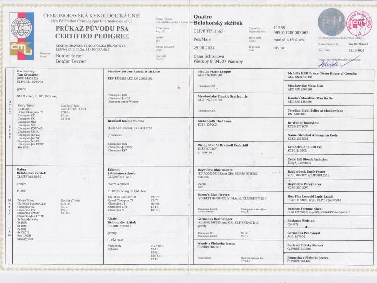 Quatro Bělohorský skřítek