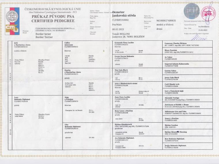 Demeter Jankovská střela