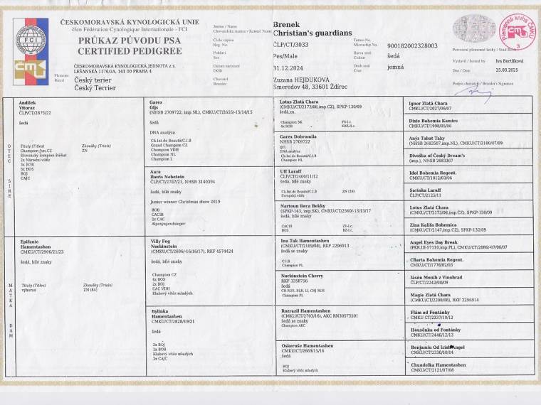 Brenek Christian's guardians