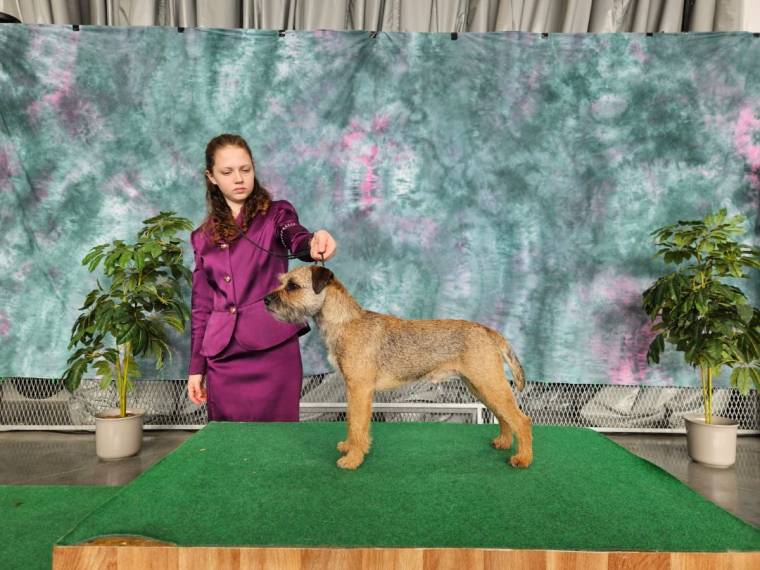 Vrh B od Karlova smrku