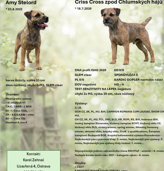 Vrh B od Karlova smrku