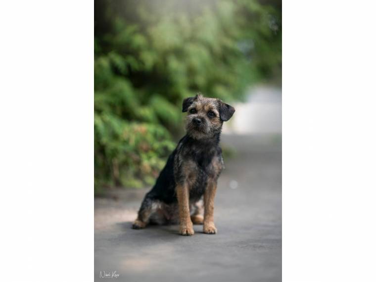 Aida z Žešovského vršku