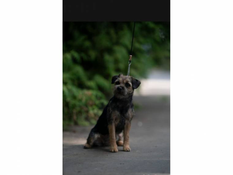 Aida z Žešovského vršku