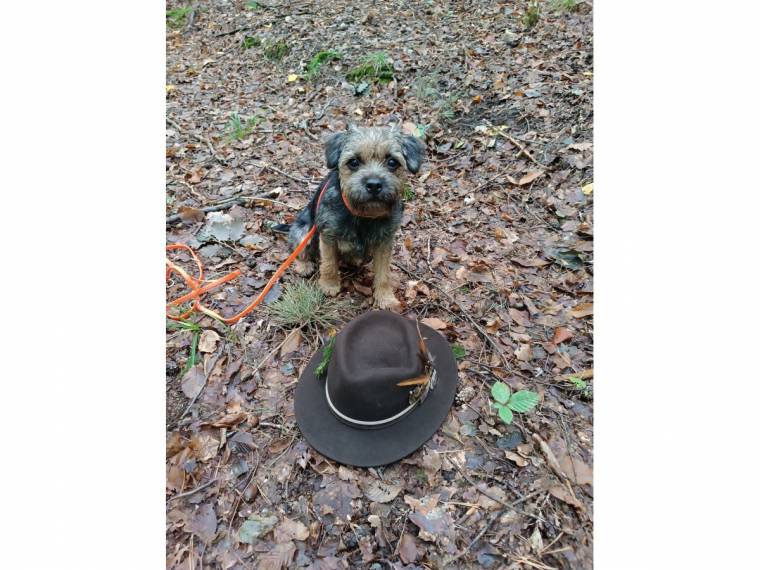 Aida z Žešovského vršku