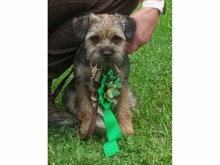 Aida z Žešovského vršku