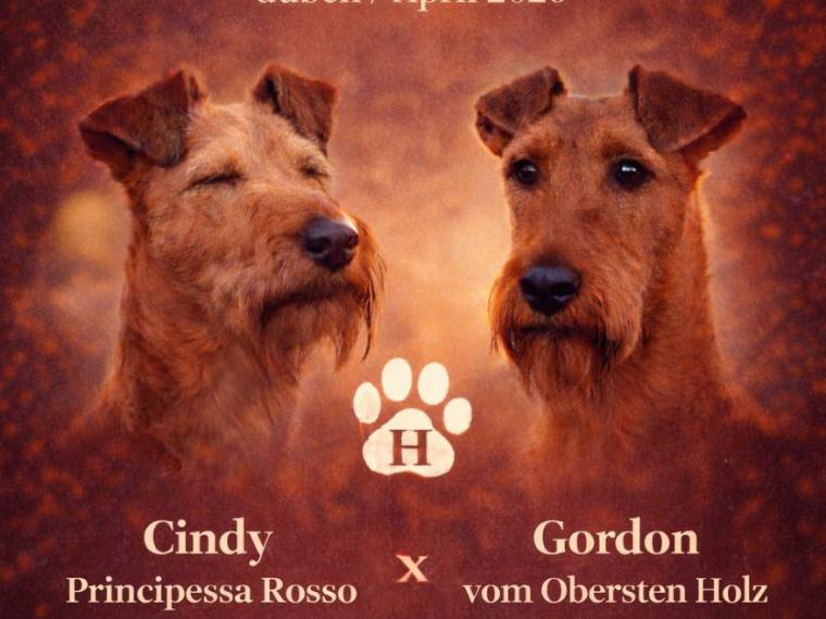 Vrh E Principessa Rosso