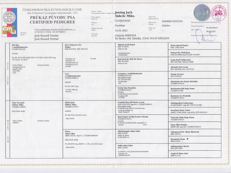 Jening Jack Sideric Miks.